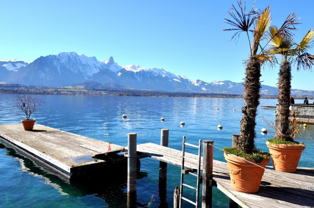 Hotel Restaurant Bellevue Au Lac Thun Exterior foto